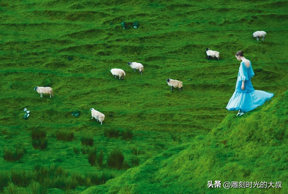 ai摄影师获奖,ai和摄影结合的摄影师