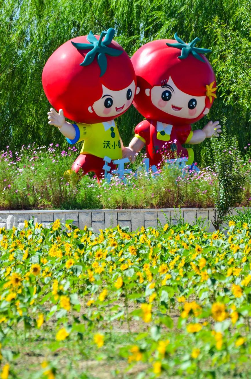 济南采摘园推荐最新,济南采摘园推荐秋季