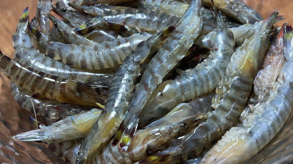 水煮大虾白灼虾一般煮几分钟,水煮大虾技巧注意几点鲜嫩不腥