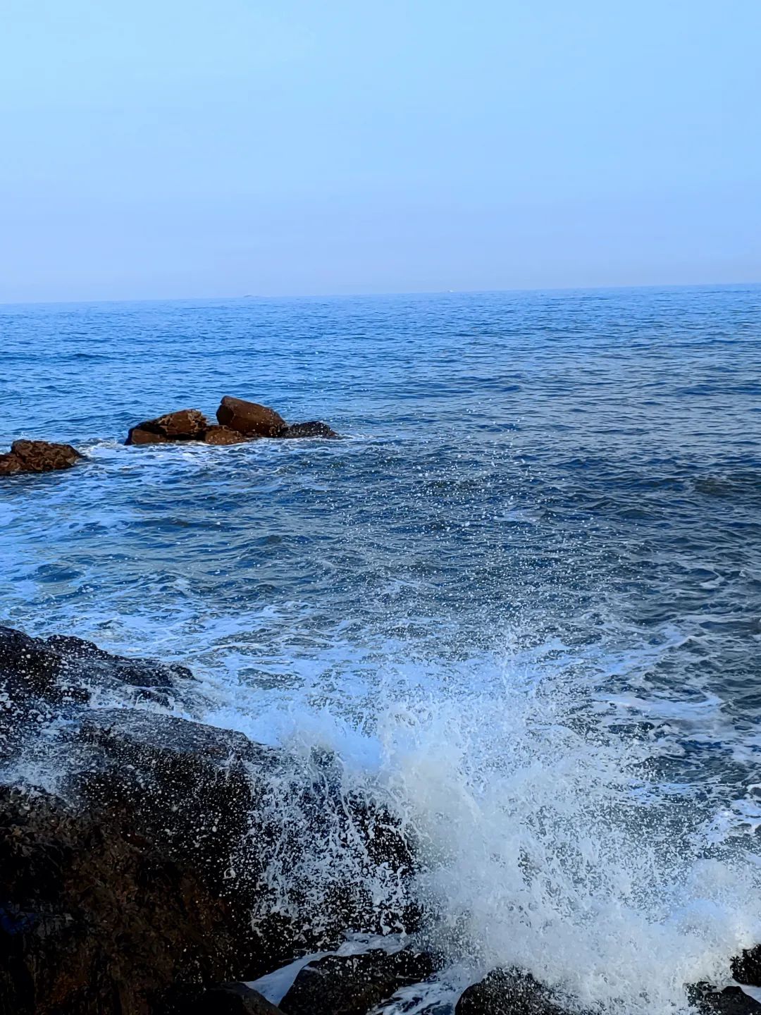 媒体深度解码国足新帅扬科维奇,国足教练扬科维奇细节决定胜负