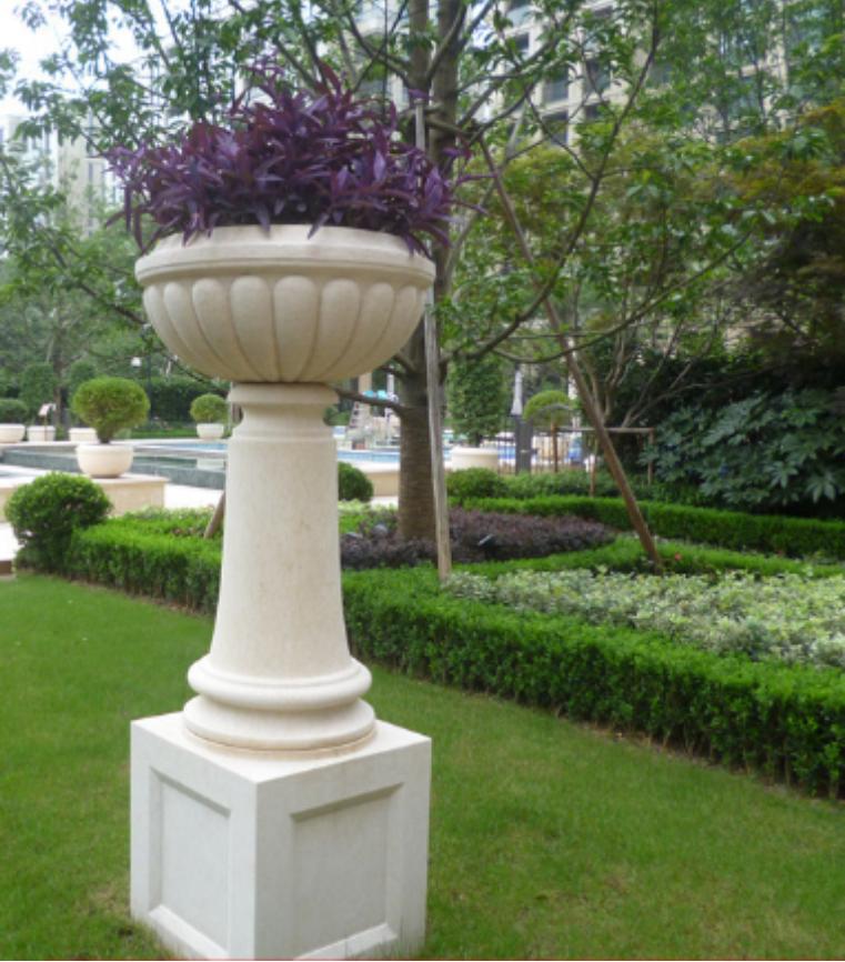 对房屋危害最大的植物,小区树木存在安全隐患