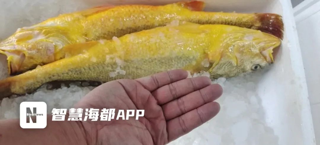 定了！马上开始！