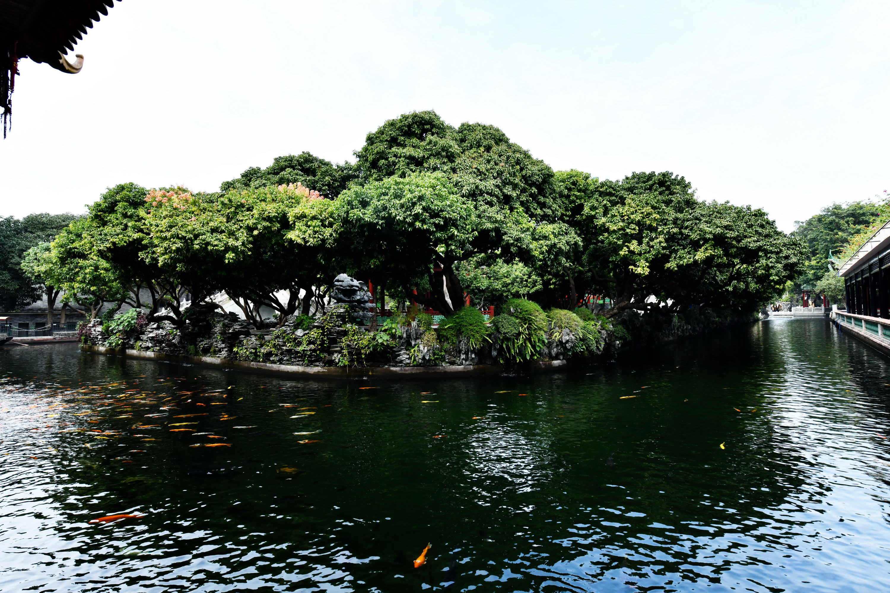 广州市番禺区宝墨园攻略,广州宝墨园景观