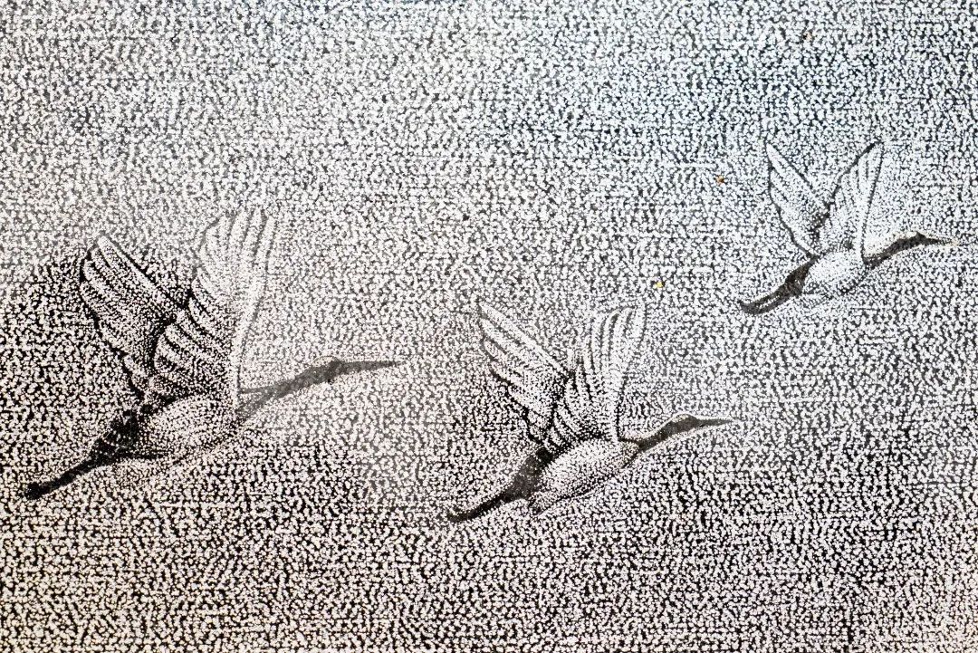 石头上的刺绣方法,石头上的刺绣