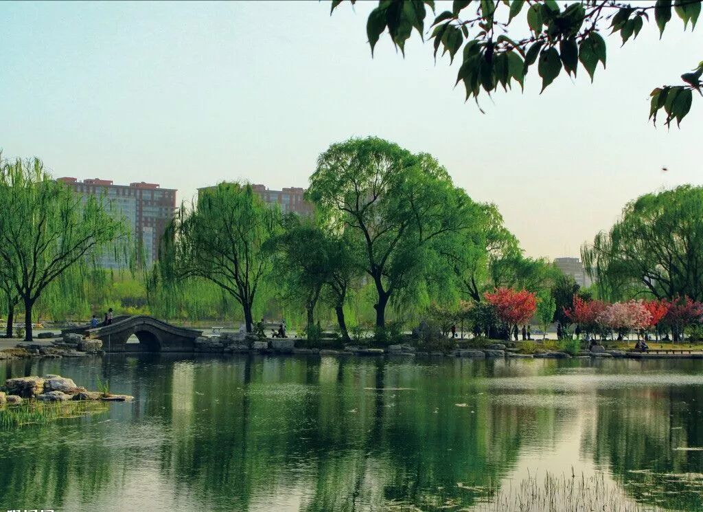 智仁勇三德合一是功夫论吗,智仁勇三者