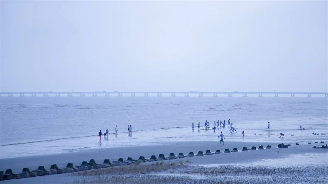 上海看海10大最美海滩浦东,上海海滩景点排名