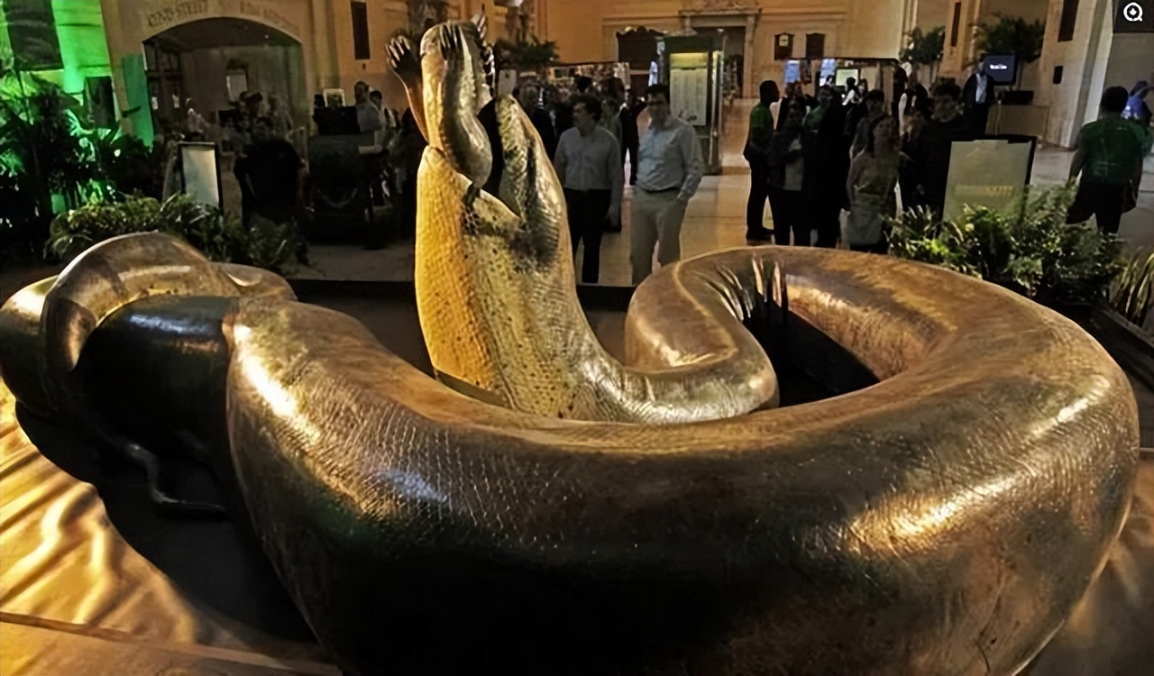 地球上的巨蟒,世界上的巨型蟒蛇到底有多大