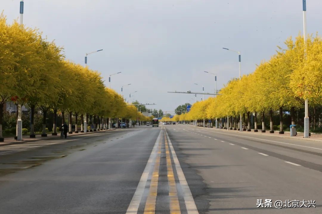 高颜值的大兴,拼的是实力!