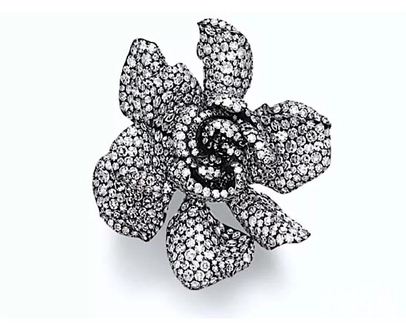 娆叉湜閮藉競鐝犲疂鎷嶅崠 (娆叉湜閮藉競鐝犲疂)