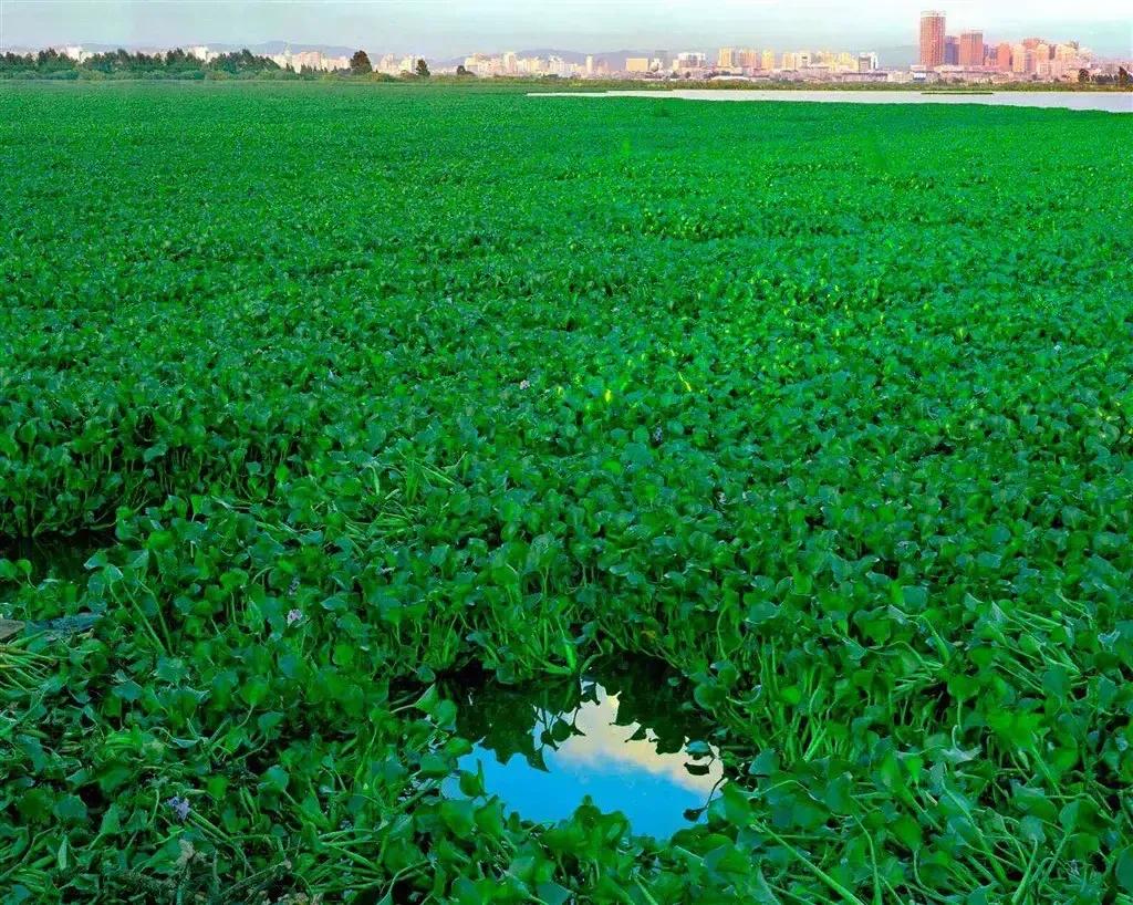 2022年壬寅年虎年日历表,2022年壬寅年开始走甲戌大运