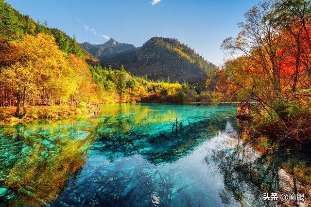 重庆恢复今年首条国际客运航线,2019年重庆机场新开国际航线