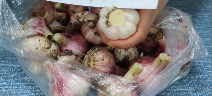 农村奶奶教糖醋蒜方法,腌糖蒜老方法