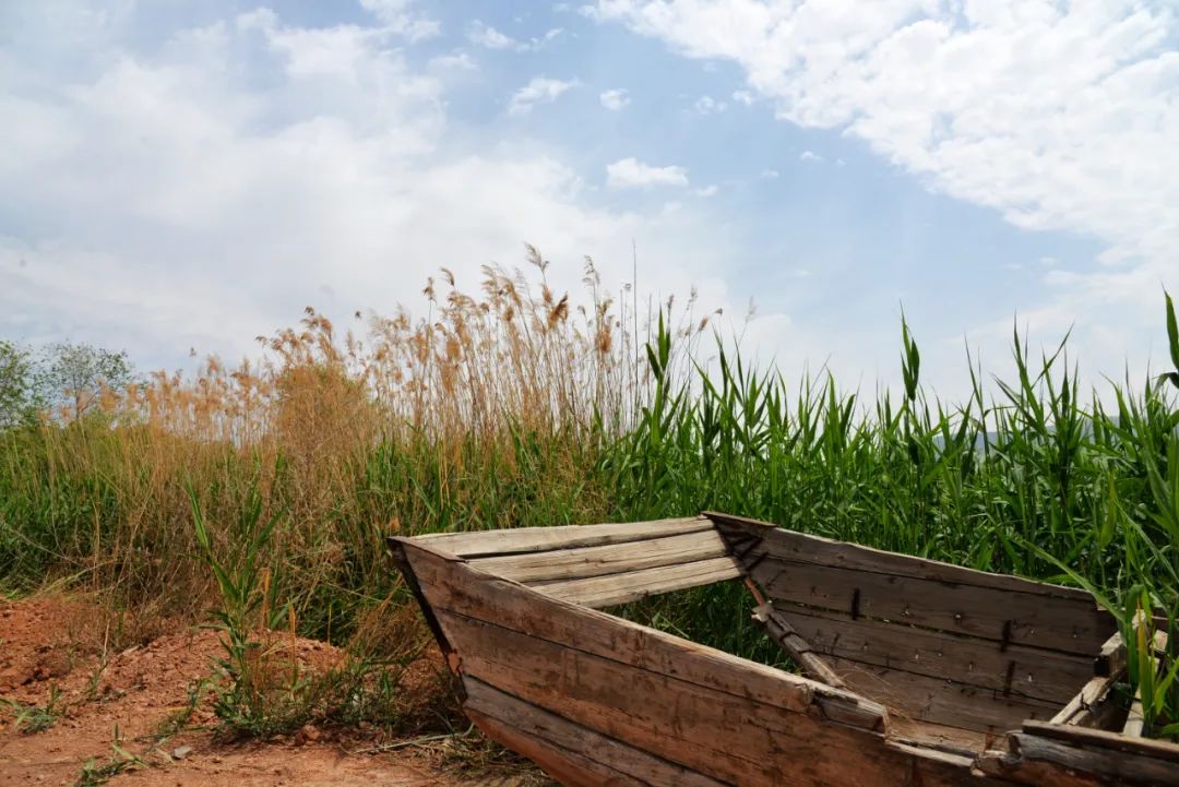 金城著名地方,金城历史由来