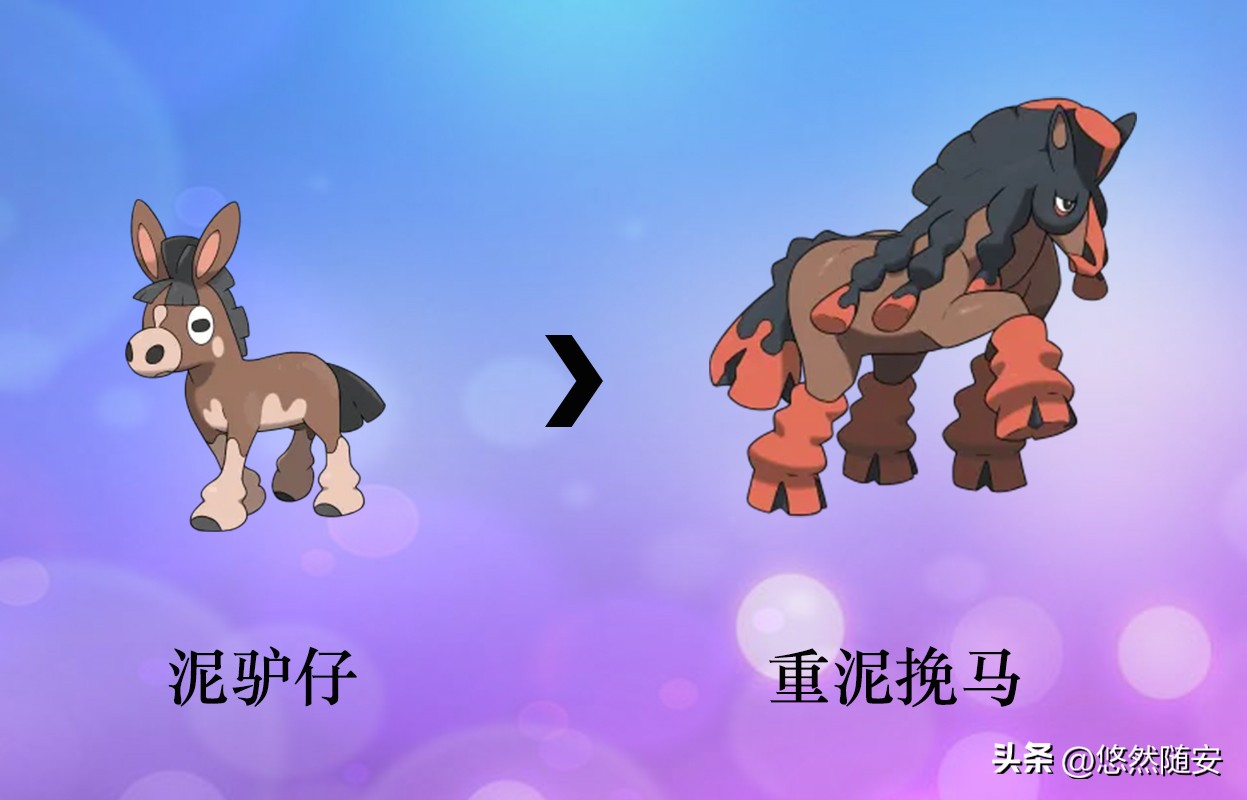 宝可梦6种进化形态,宝可梦进化图片