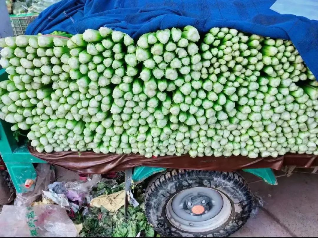 大学生创业卖农产品年入1000,辞职回老家创业卖土特产