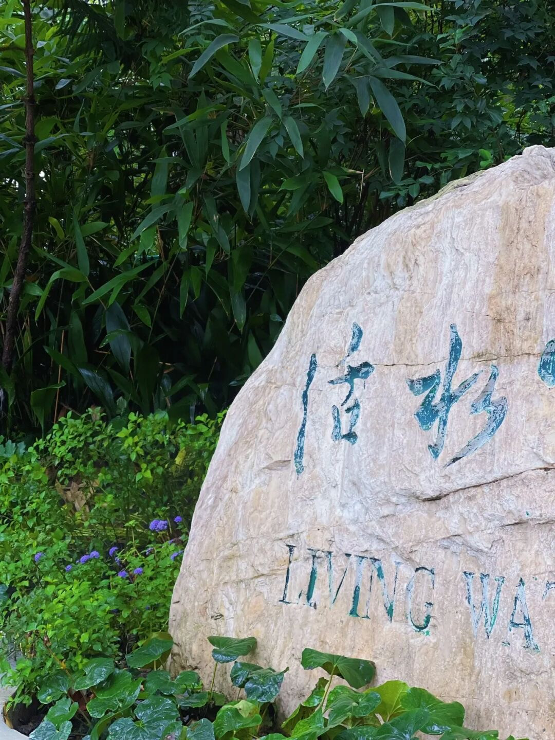 成都上新被施了魔法的“无蚊公园”!逛朋克风夜市、奇异洞穴书店