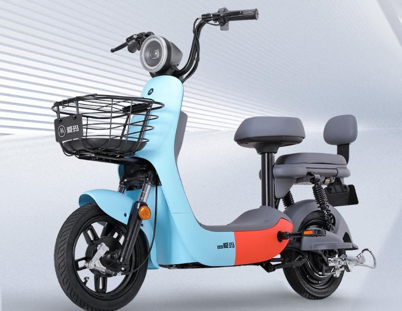 新国标电动车推荐车型,新国标电动车最新品牌车型