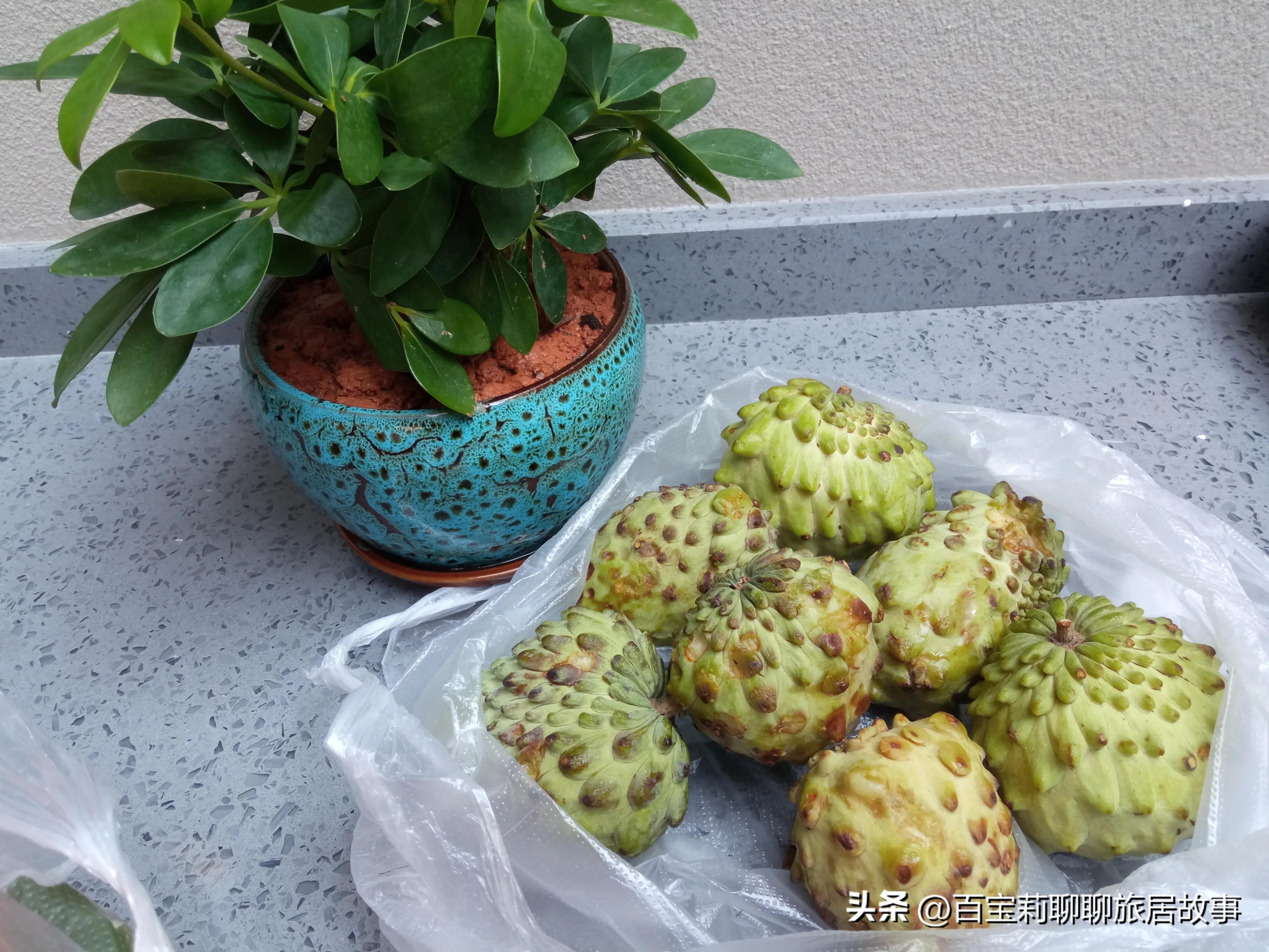 版纳旅游带什么水果回家,西双版纳旅游攻略水果批发市场