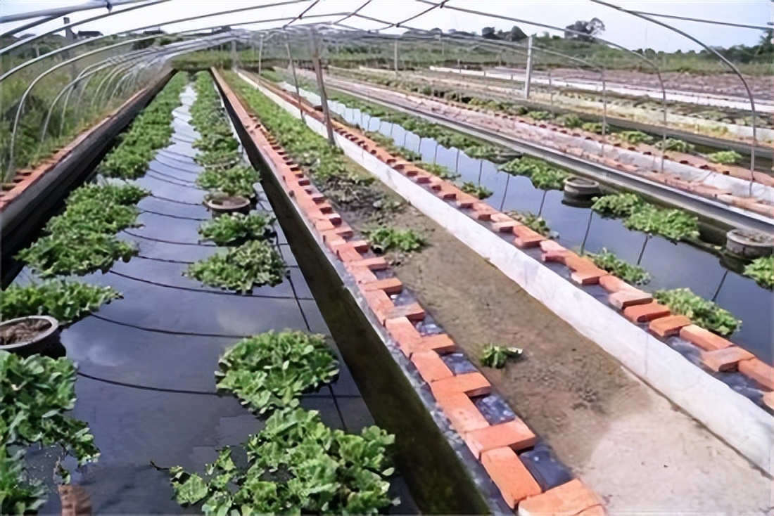 水蛭立体养殖箱制作材料,牡丹江水蛭立体养殖