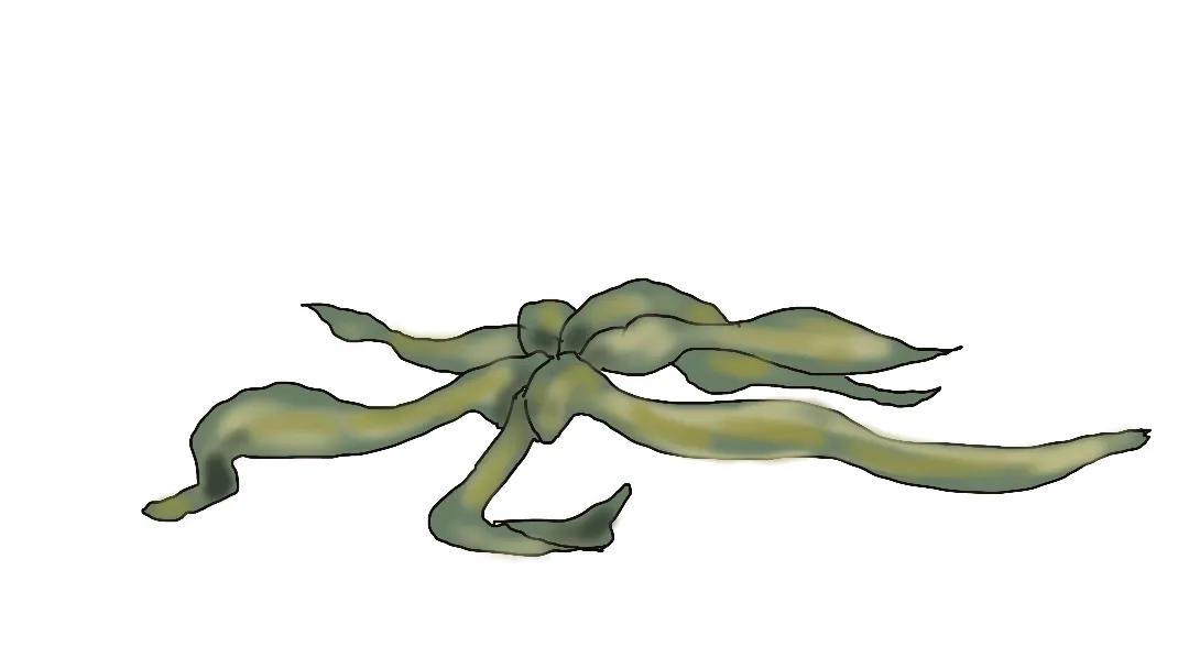 百草枯危害动画,百草枯的危害动画