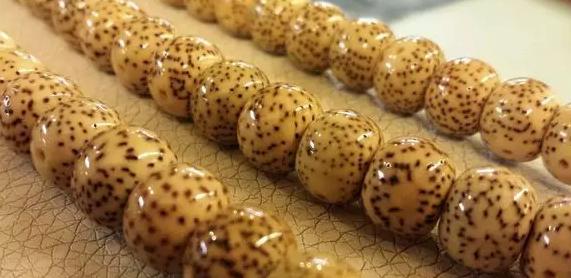 星月菩提子,星月菩提子怎么穿绳