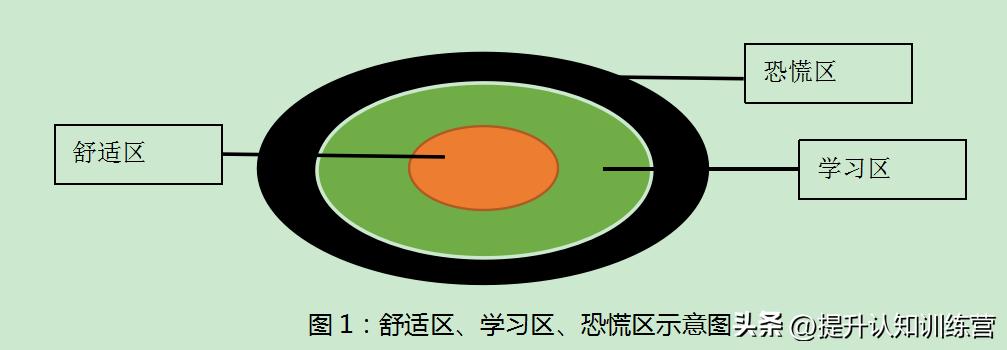 有效提高学习力,什么是最高效的学习方法