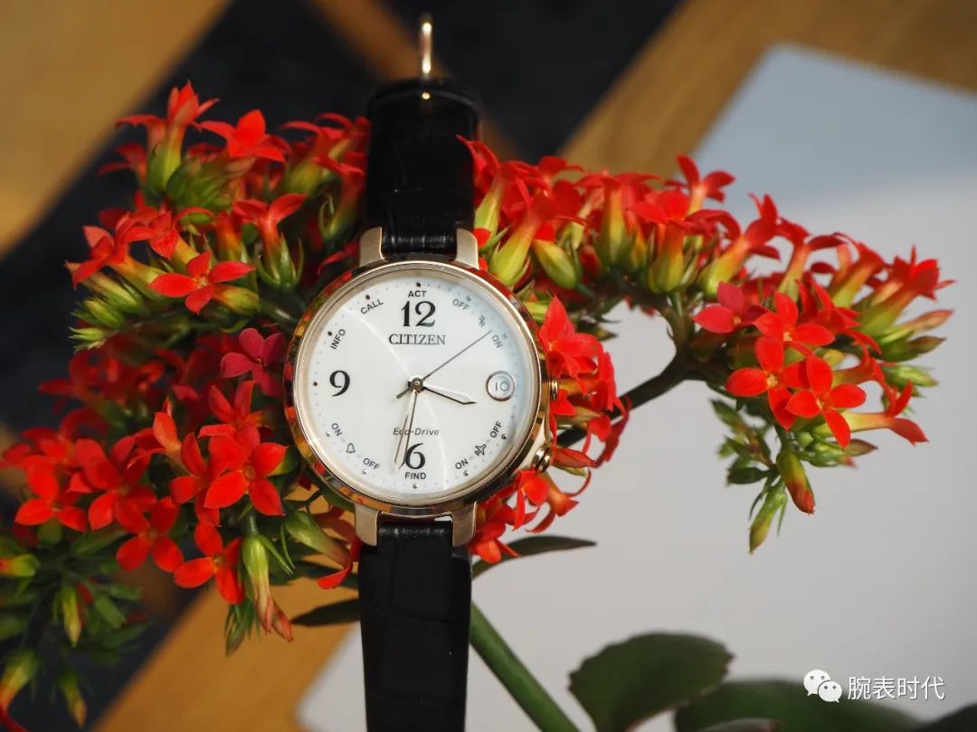 性价比高的入门级女表,怎么选一只百搭的女表