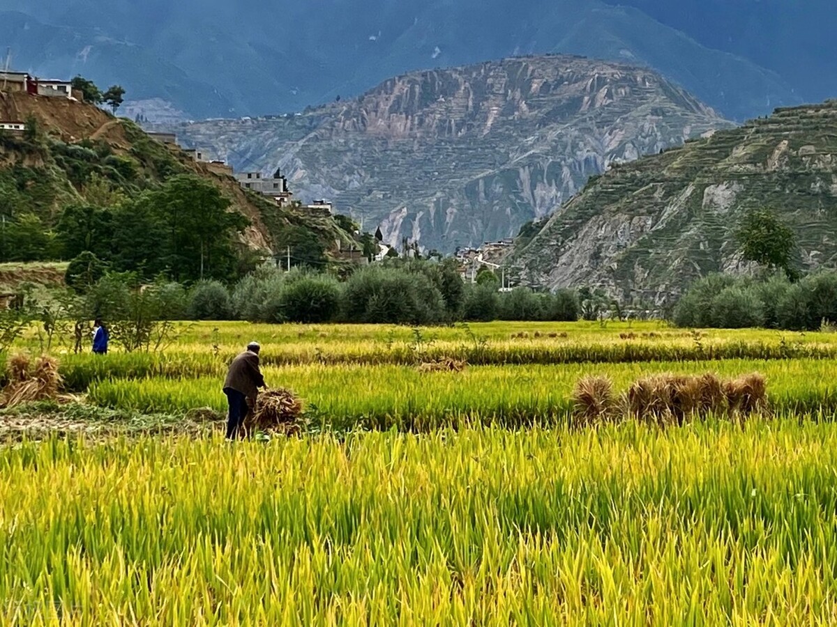 现在的年轻人都越来越矫情,为什么大多数人都受不了矫情
