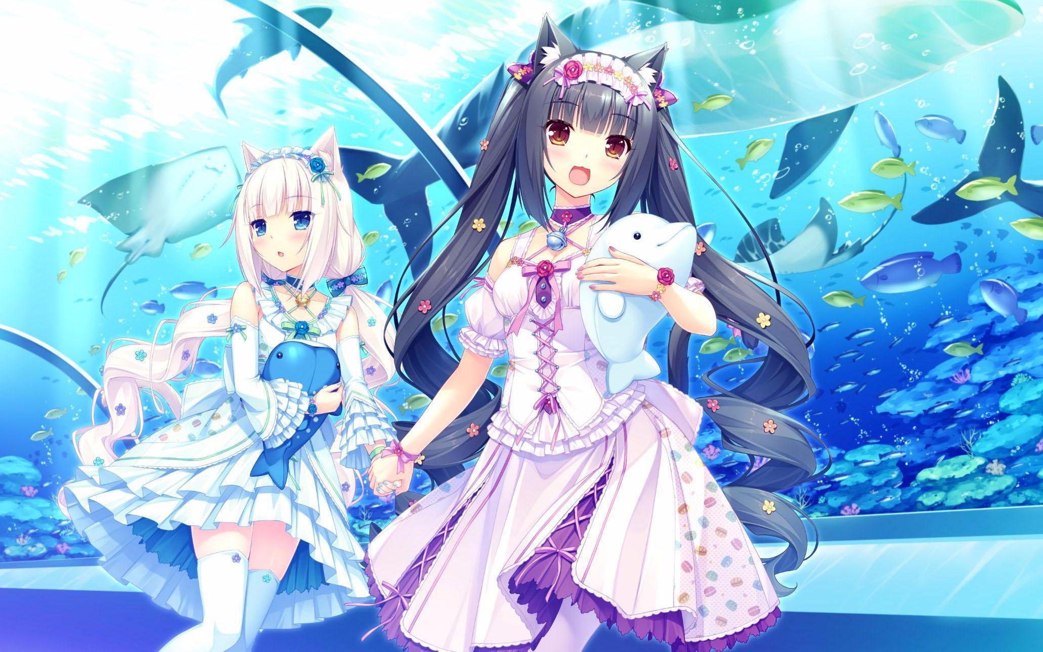 nekopara顺序,nekopara怎么玩才有意思