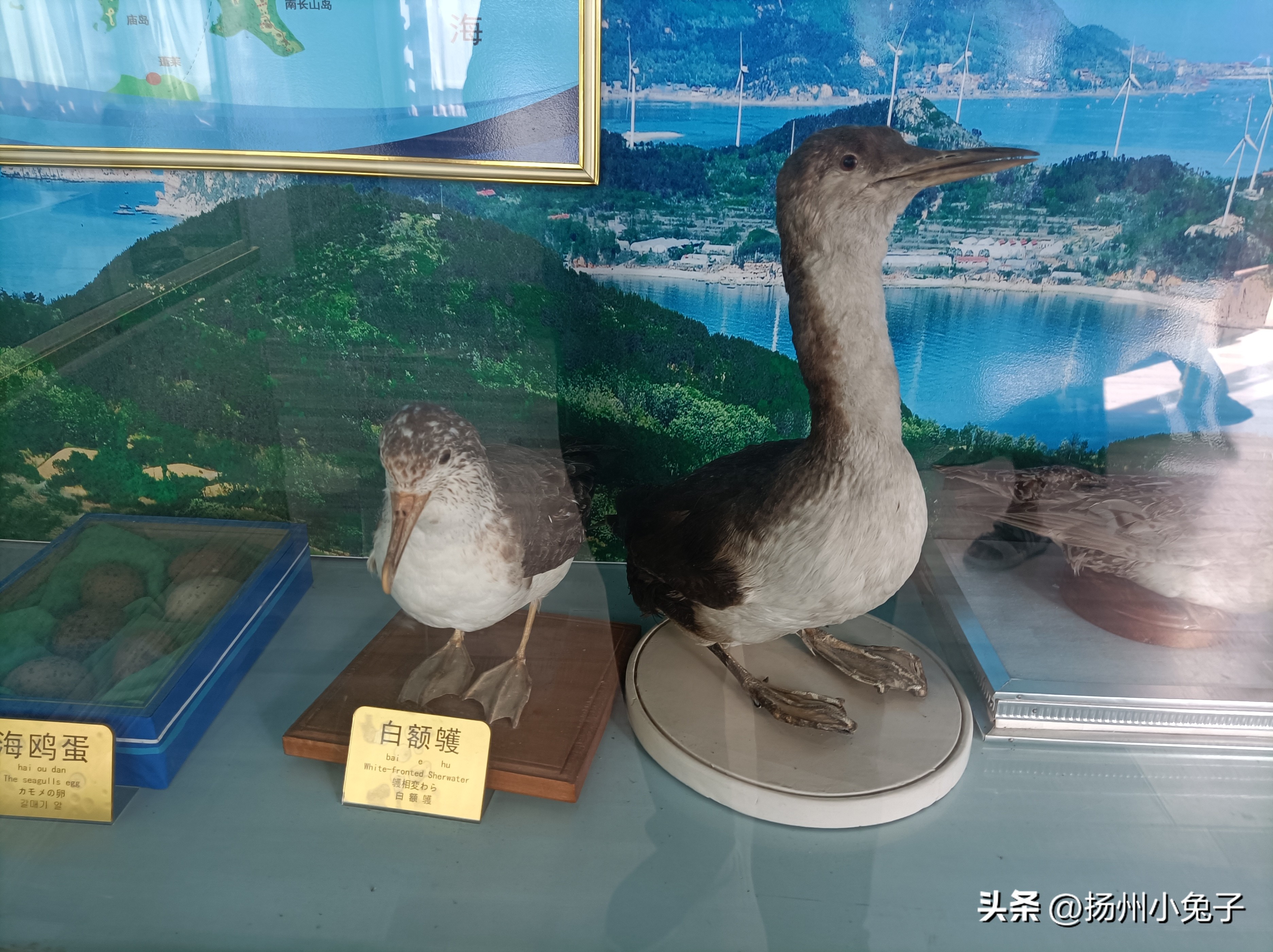 峰山林海打卡景点,打卡森林公园热带雨林