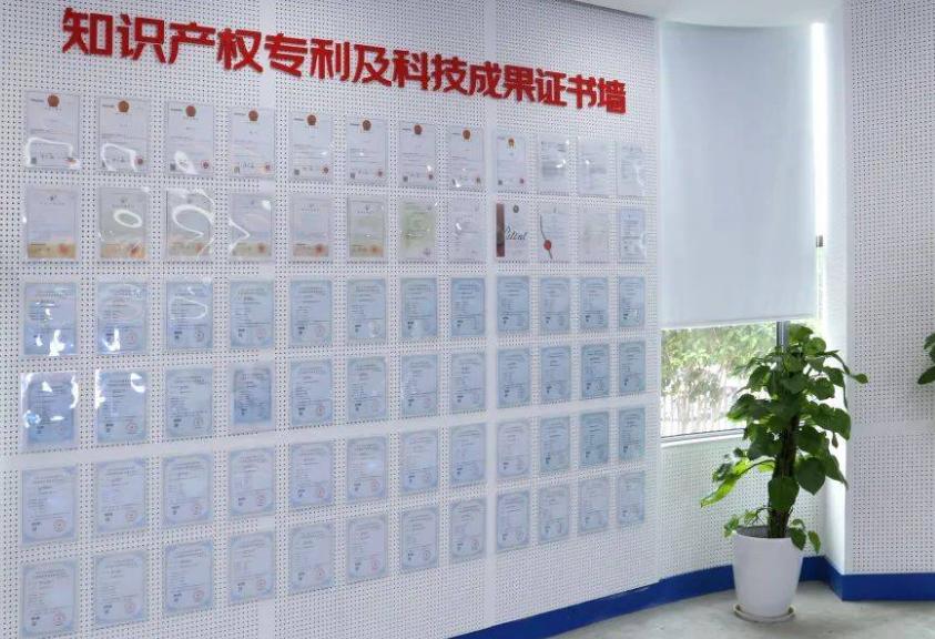 东莞乐之宝玩具有限公司,东莞宝恒玩具有限公司