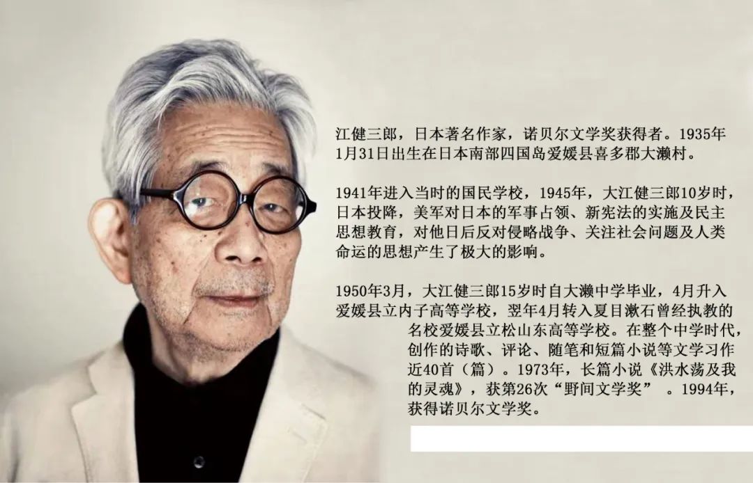 获得诺贝尔文学奖的作者和作品,诺贝尔文学奖作家作品总结