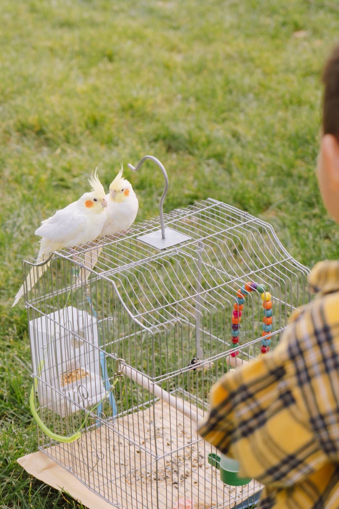 鏈辨瘉,鏈辨瘉姣佺殑鎴愰兘