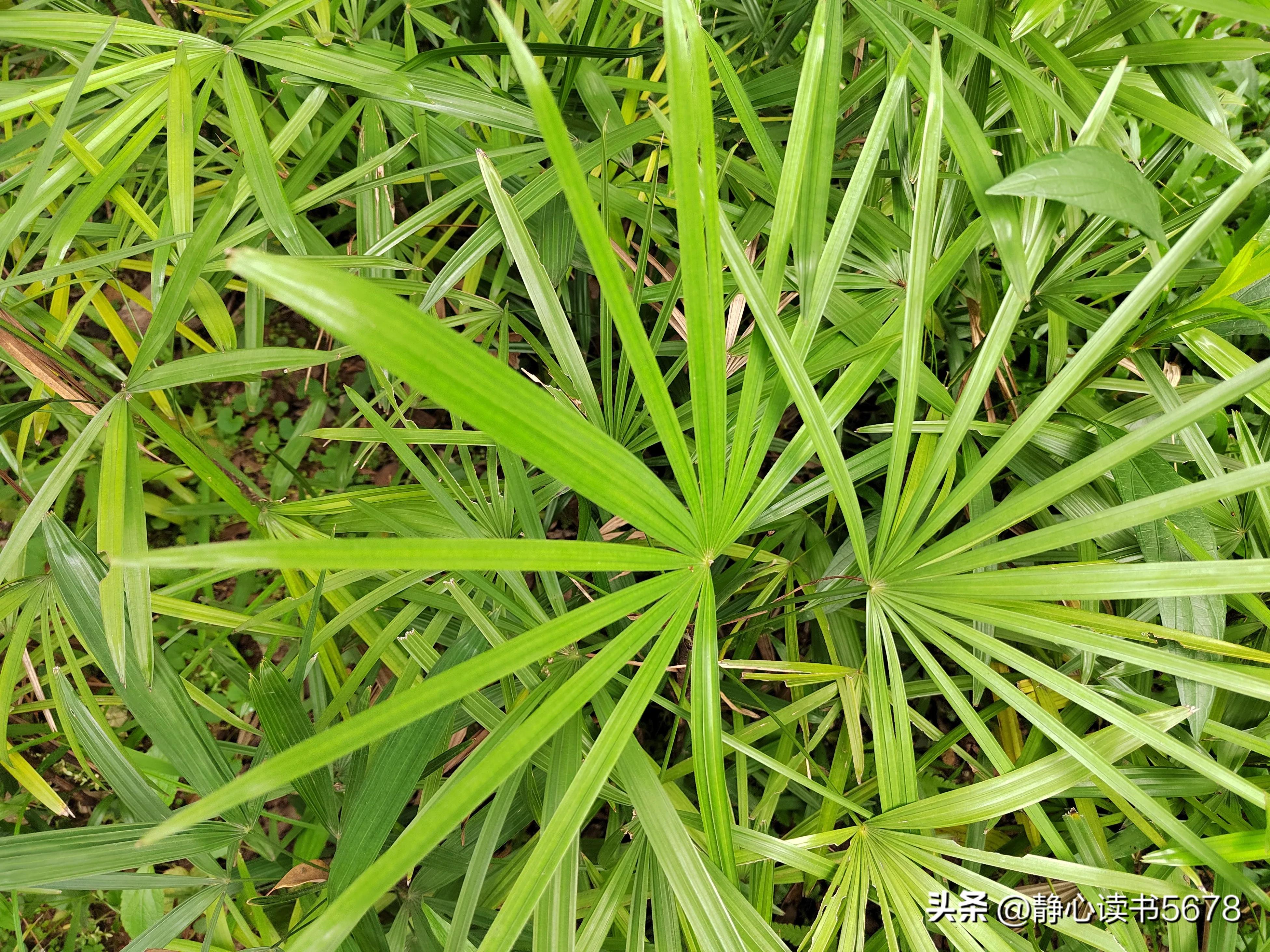 做一个好的生意经典语录,做生意最经典的一句话