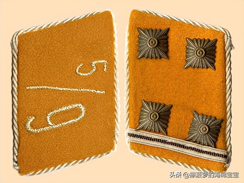 纳粹冲锋队用的什么枪,纳粹德军军衔图解