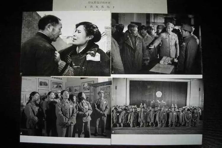 出圈的羊胎素，无辜的斯琴高娃