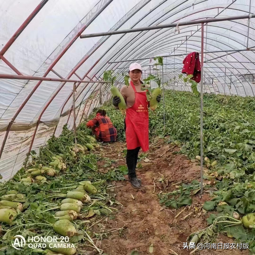 一对勤劳致富又浪漫的好夫妻,一对勤劳致富的好夫妻