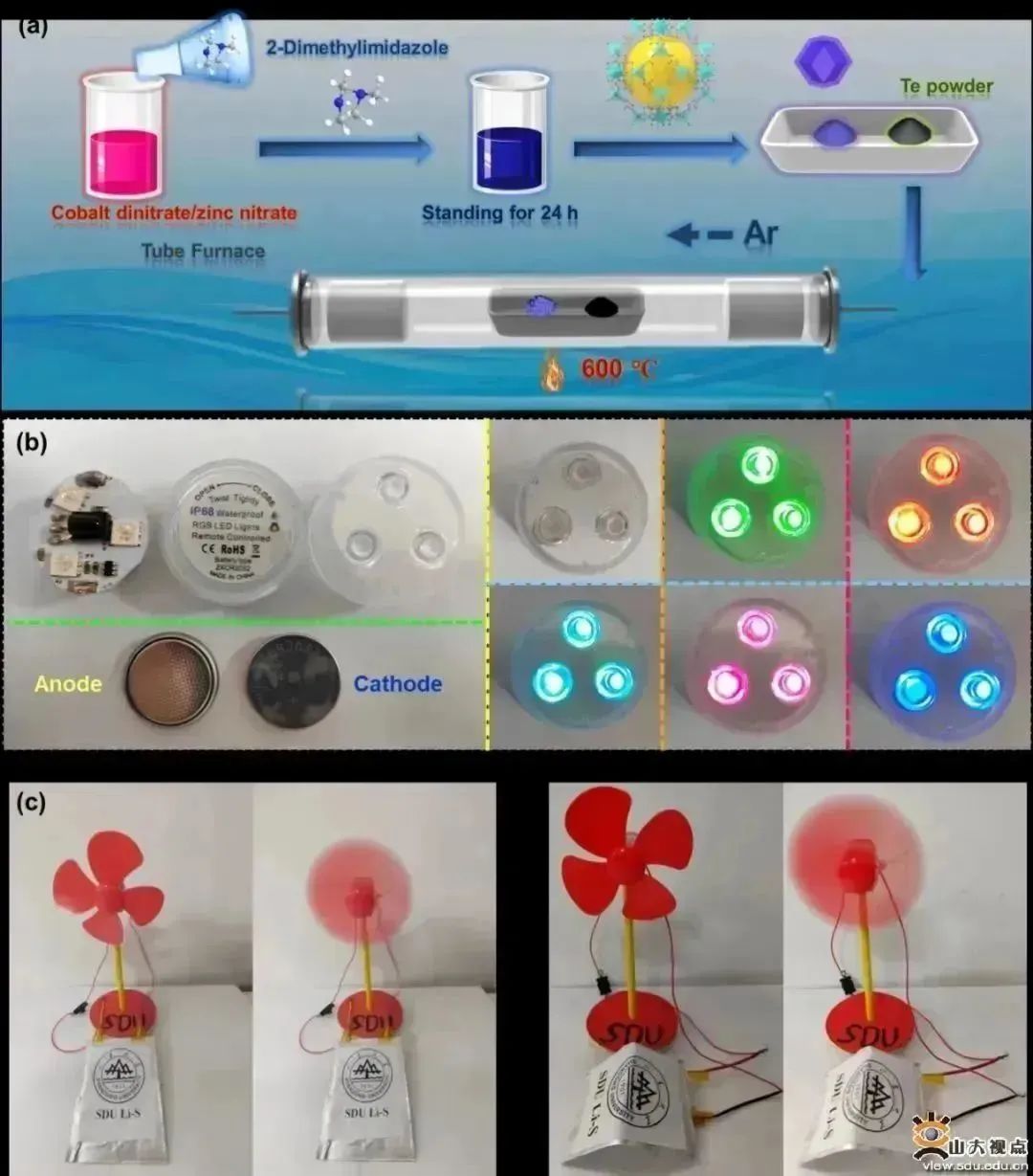 乘风破浪再奋进!姗姗带你看SDU最新学术一览
