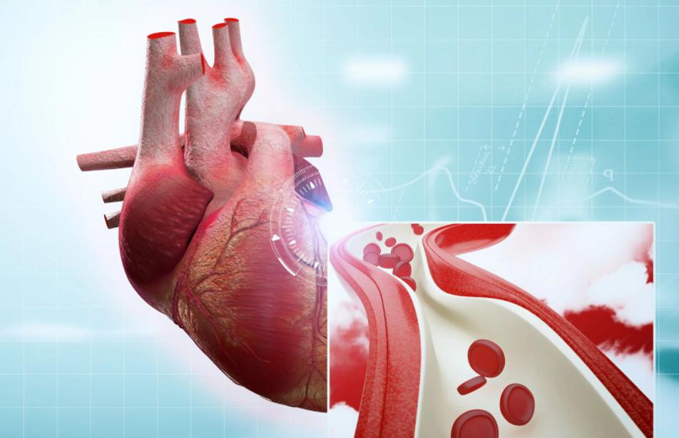 做完冠脉造影，病人就活不久了？冠脉造影检查对人体有什么危害？