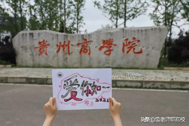 贵州商学院、贵阳康养职业大学和贵州工程应用技术学院三校谁强？