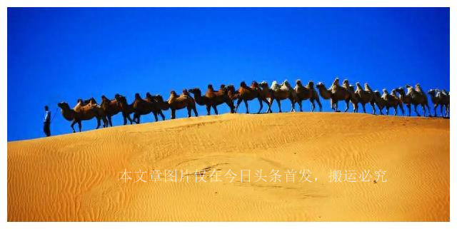 独居百岁老人的故事,独居老人的故事