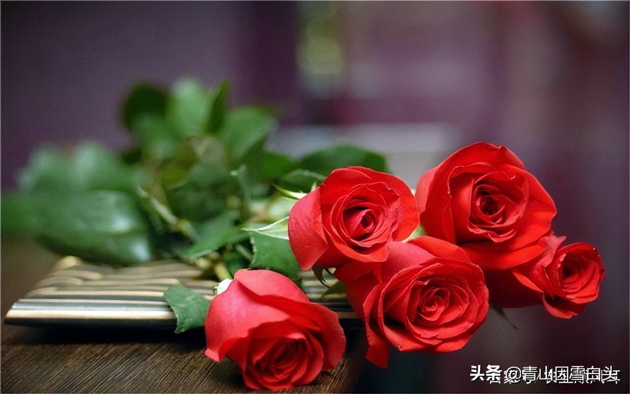 适合目前在农村创业的项目,五个适合农村创业的好项目推荐