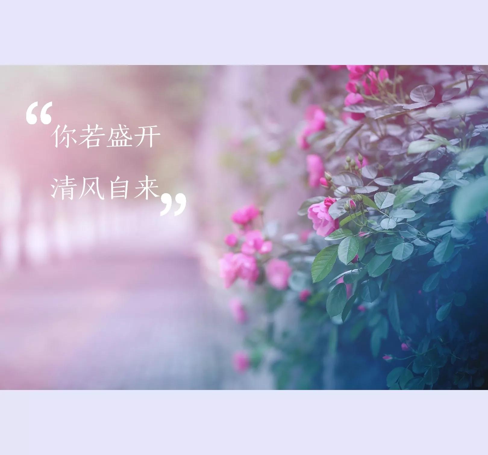 营销之道复盘总结,房地产年度营销复盘总结