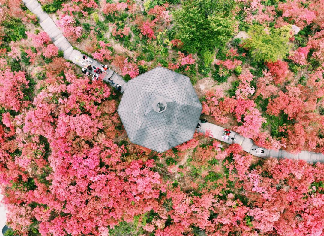 近乡情怯，归来仍是少年！