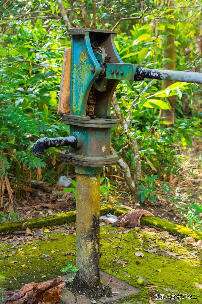 民间故事老虎打死人,民间故事打死老人