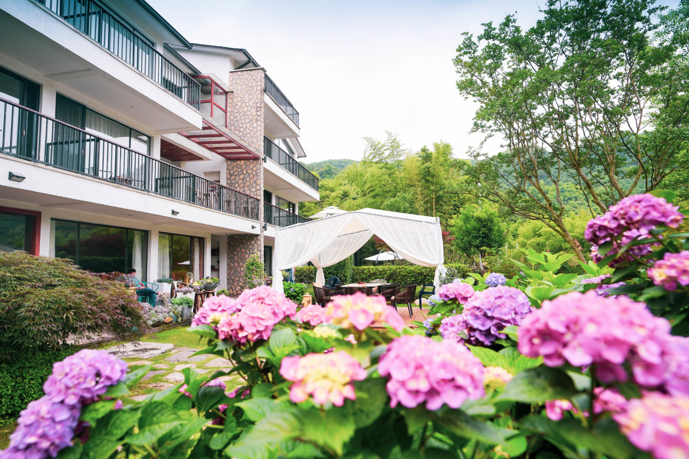 莫干山避暑民宿一日游,莫干山莫奈花园