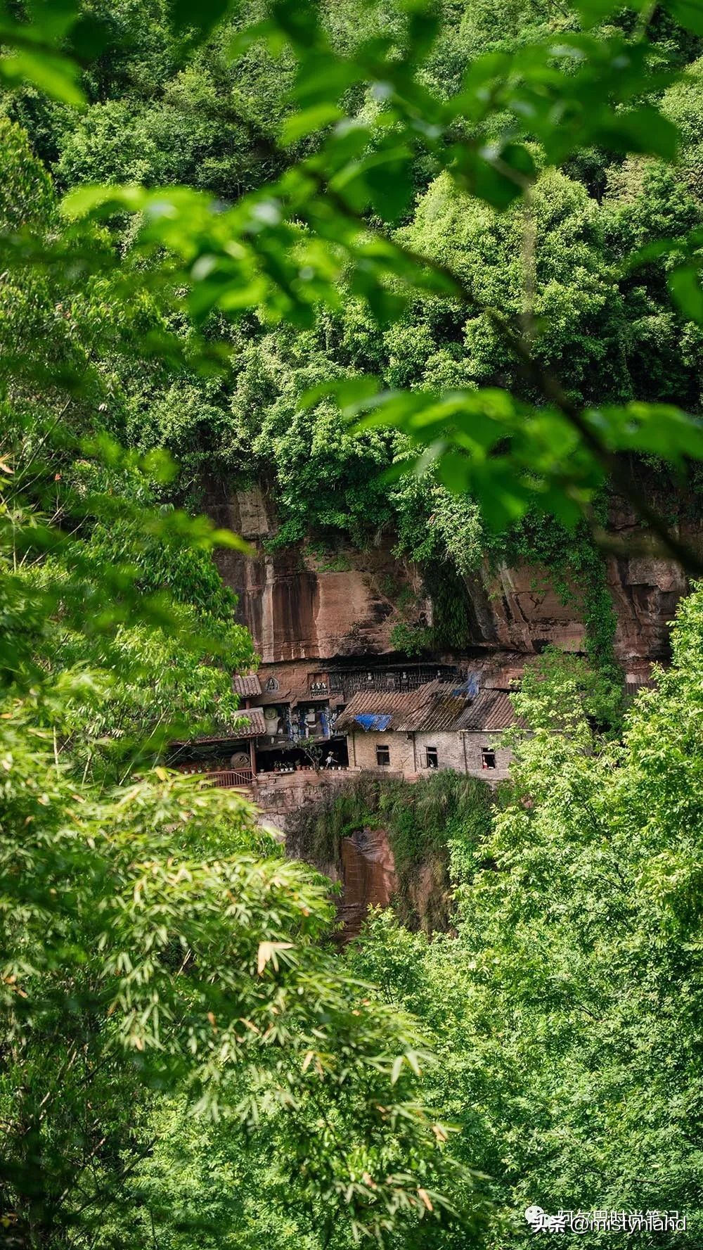 KOLONSPORT可隆,如何以一场山林徒步开启成都市场?