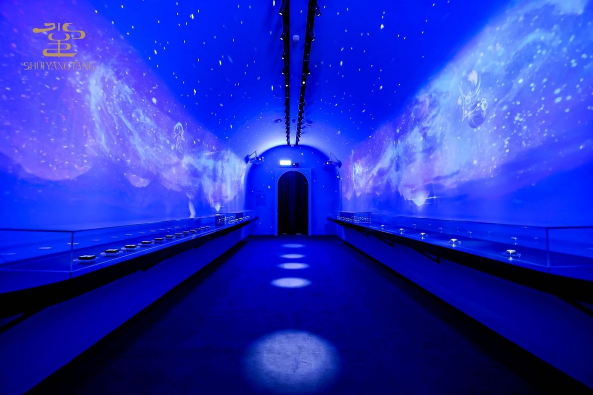 水羊堂粉黛美妆展时间,水羊堂粉黛创世美妆典藏展门票