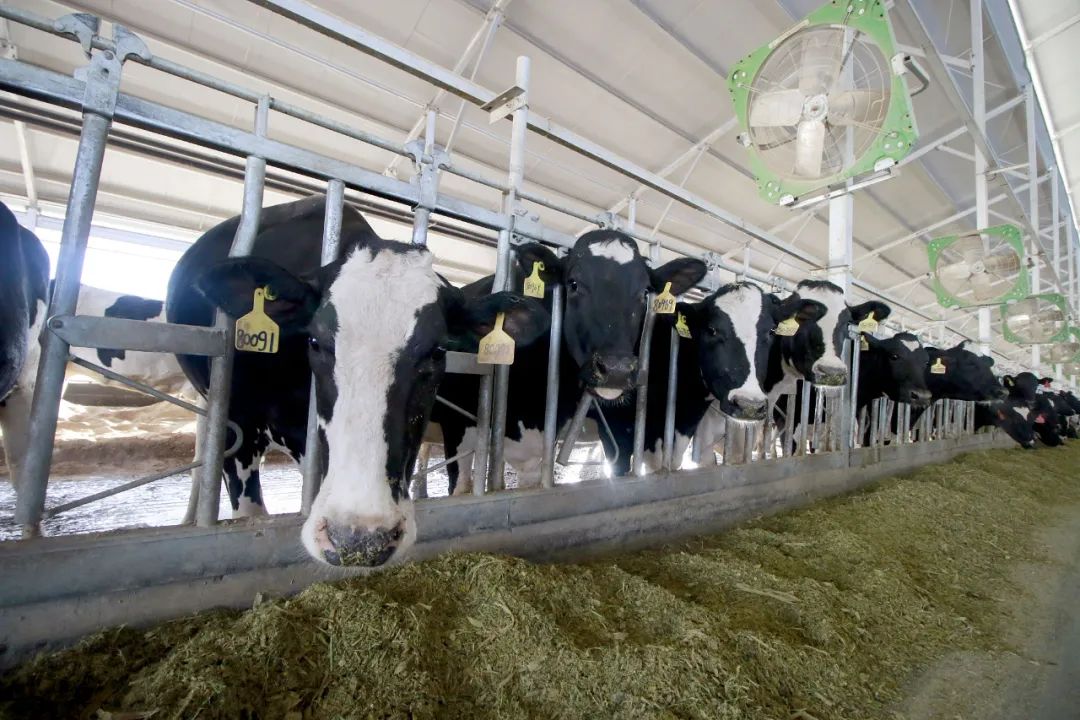 怎么去母婴店问奶粉价格,去母婴店买奶粉价格应该怎么问