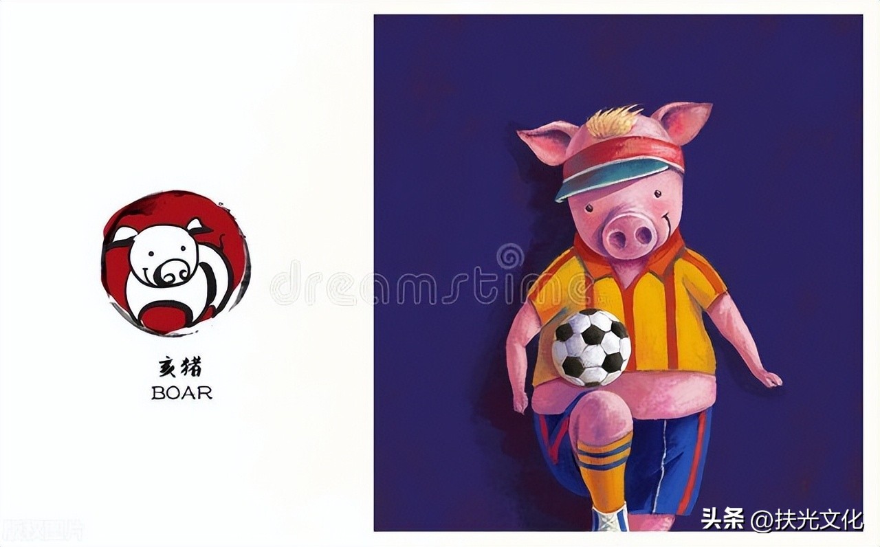 12生肖的2023年的运势,十二生肖2023年每日运势和幸运色